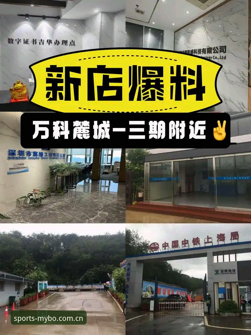 迈博是否合法？2024最新动态与实战操作指南